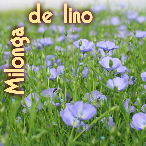 20250508 21:00 02:00 Milonga de lino